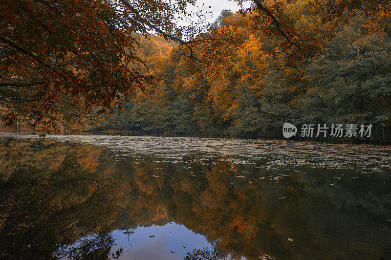 Yedigoller湖国家公园在秋天的mengen bolu土耳其